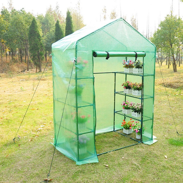 Mini Portable Plant Grow Greenhouse Tent